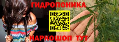шишки Будённовск
