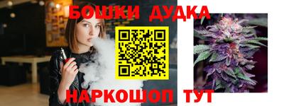шишки Будённовск