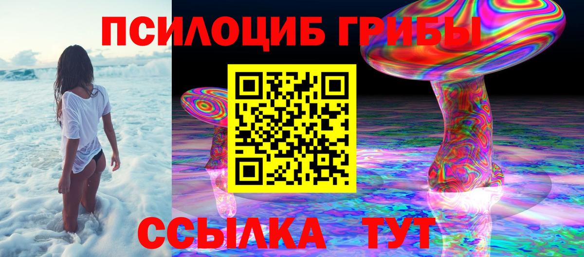 Галлюциногенные грибы GOLDEN TEACHER  где можно купить наркотик  Наро-Фоминск  Вход с VPN 