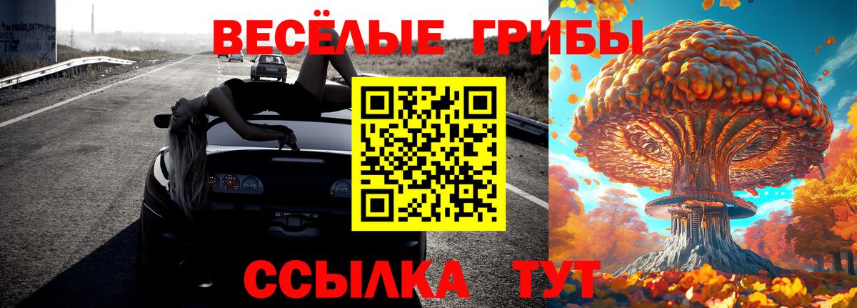 Галлюциногенные грибы прущие грибы Наро-Фоминск